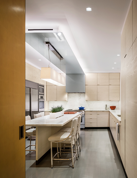 PARK AVENUE APARTMENT - DD Allen Design